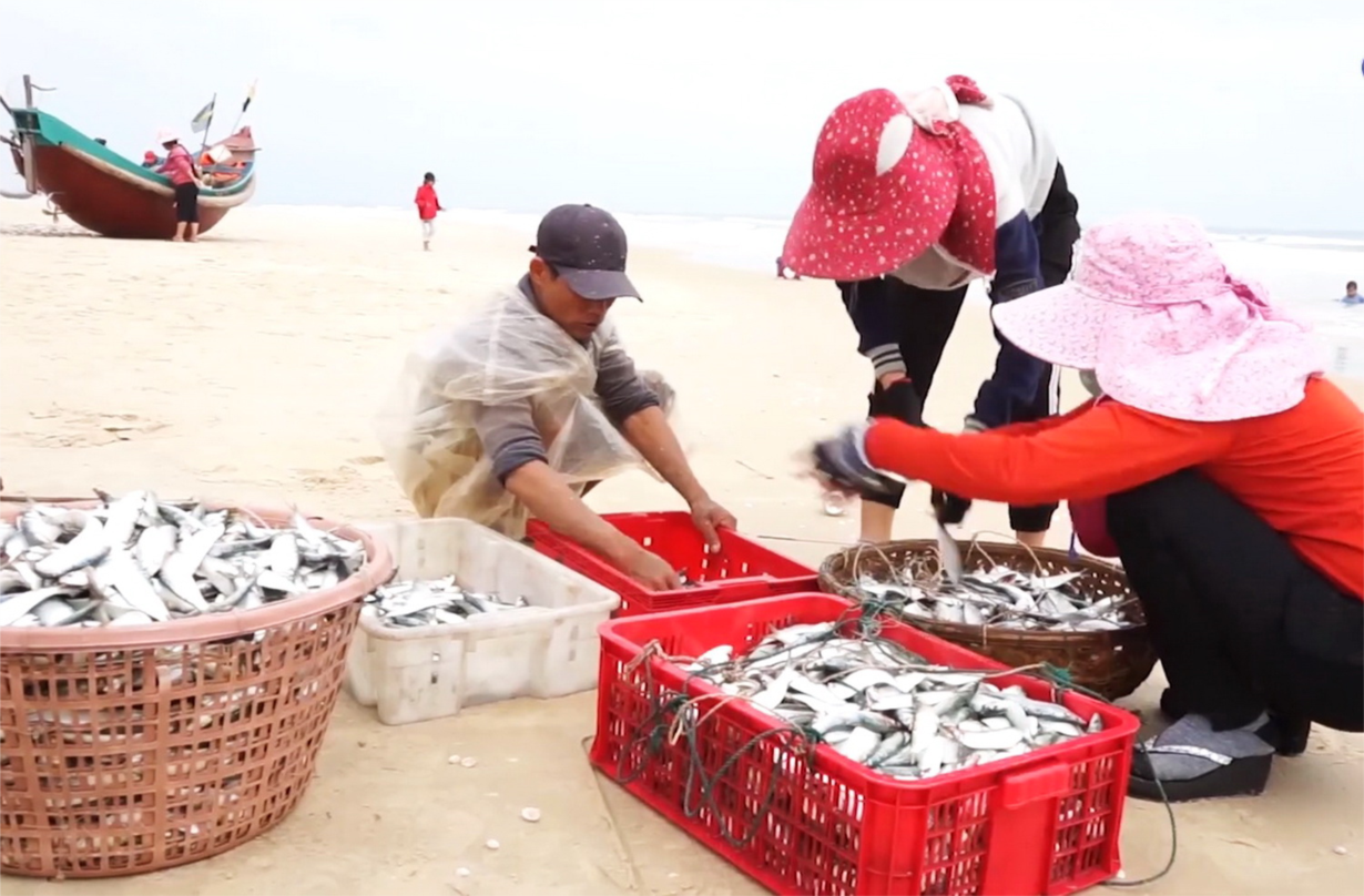 Ngư dân Quảng Bình ra khơi đón lộc biển (23/2/2021)